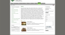 Rounded Gray Green Design Theme